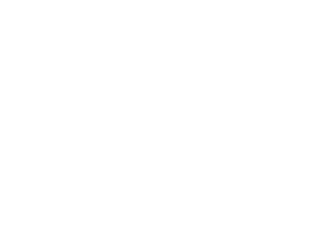 elişi